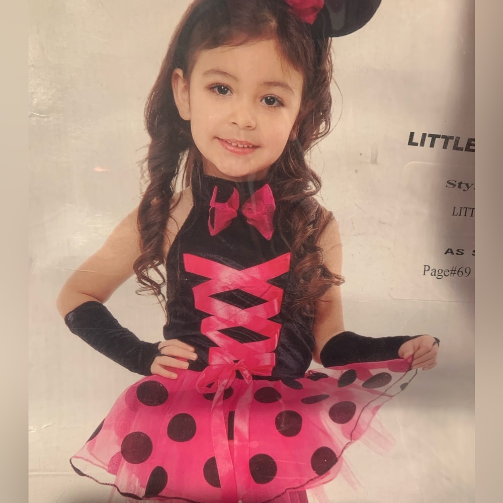Minnie Mouse costume brand new size 4